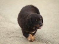 IMG_3762
