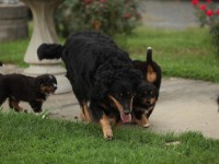 IMG_3803