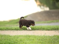 IMG_3845