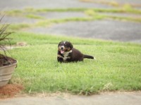 IMG_3901