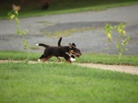 IMG_3915