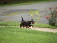 IMG_3916