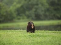 IMG_3967