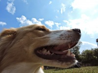 DSCN0405