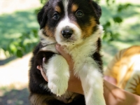 Boy-Yadkin-