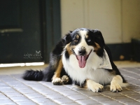 DROVER-2492_sm