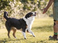 IMG_4916-1-scaled