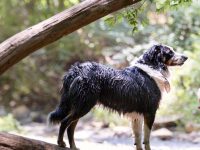 IMG_8756-1-scaled
