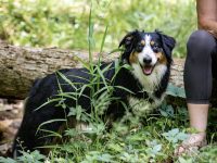 Tallie-A81A2418-scaled