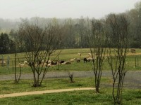 IMG_16713785