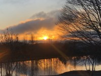 IMG_27646256