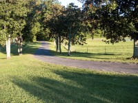 IMG_5690