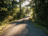 IMG_5704