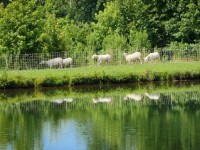 untitled-shoot-002