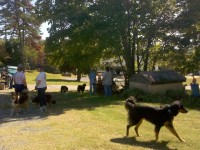 IMG_20111008_115712