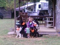 IMG_20111010_082552