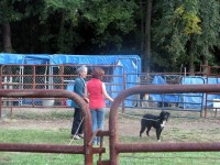 IMG_6153