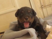 093