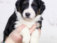 2IMG_5775