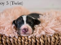 Boy5Twist-scaled