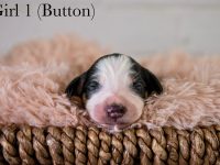 Girl1Button-scaled