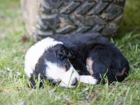 IMG_2217-scaled