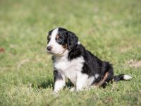 IMG_2255-scaled