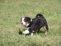 IMG_2263-scaled