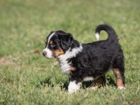 IMG_2267-scaled