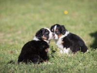 IMG_2268-scaled