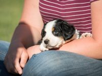 IMG_2288-scaled