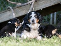 IMG_2302-scaled
