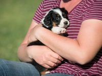 IMG_2341-scaled