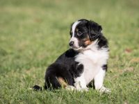 IMG_2356-scaled