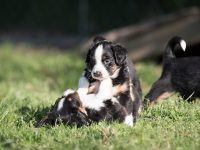 IMG_2359-scaled