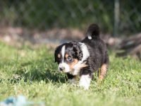 IMG_2406-scaled