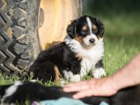 IMG_2411-scaled