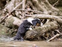 IMG_2998-scaled