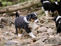 IMG_3007-scaled