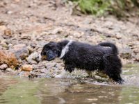 IMG_3021-scaled
