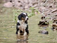 IMG_3028-scaled