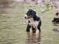 IMG_3030-scaled