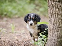 IMG_3034-scaled