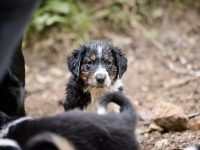 IMG_3035-scaled