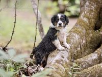IMG_3041-scaled