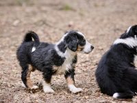 IMG_3074-scaled