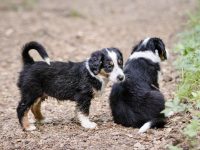 IMG_3076-scaled