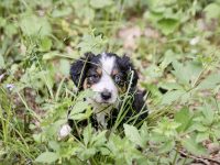 IMG_3082-scaled