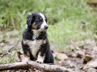 IMG_3087-scaled