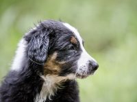 IMG_3089-scaled